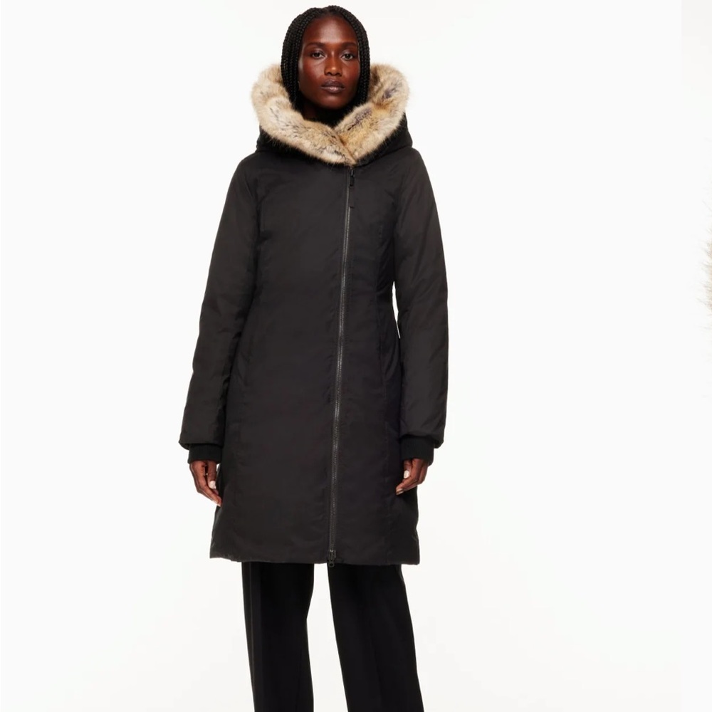 Aritizia Babaton St.Moritz Parka